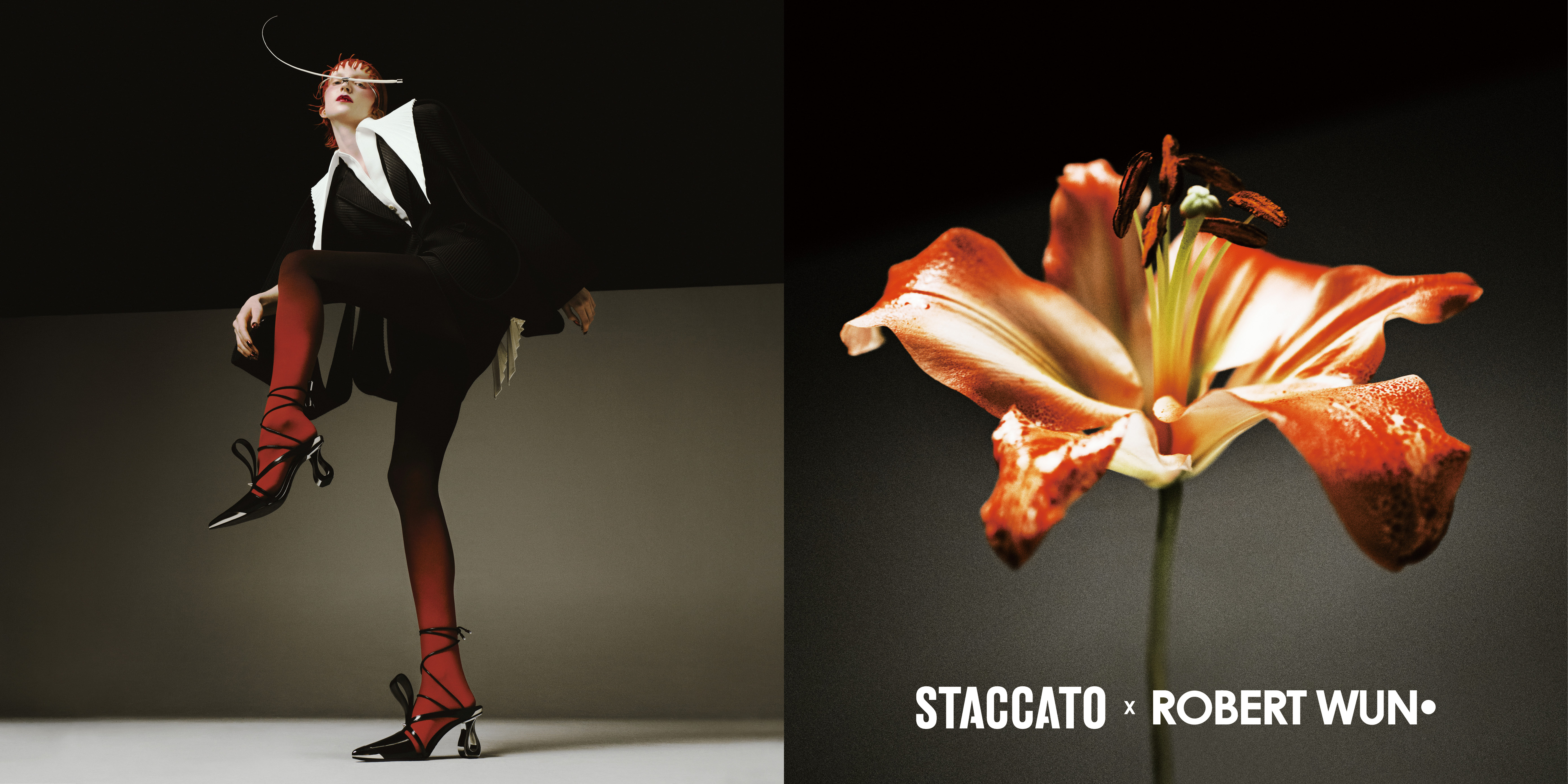 STACCATO X ROBERT WUN CAPSULE COLLECTION